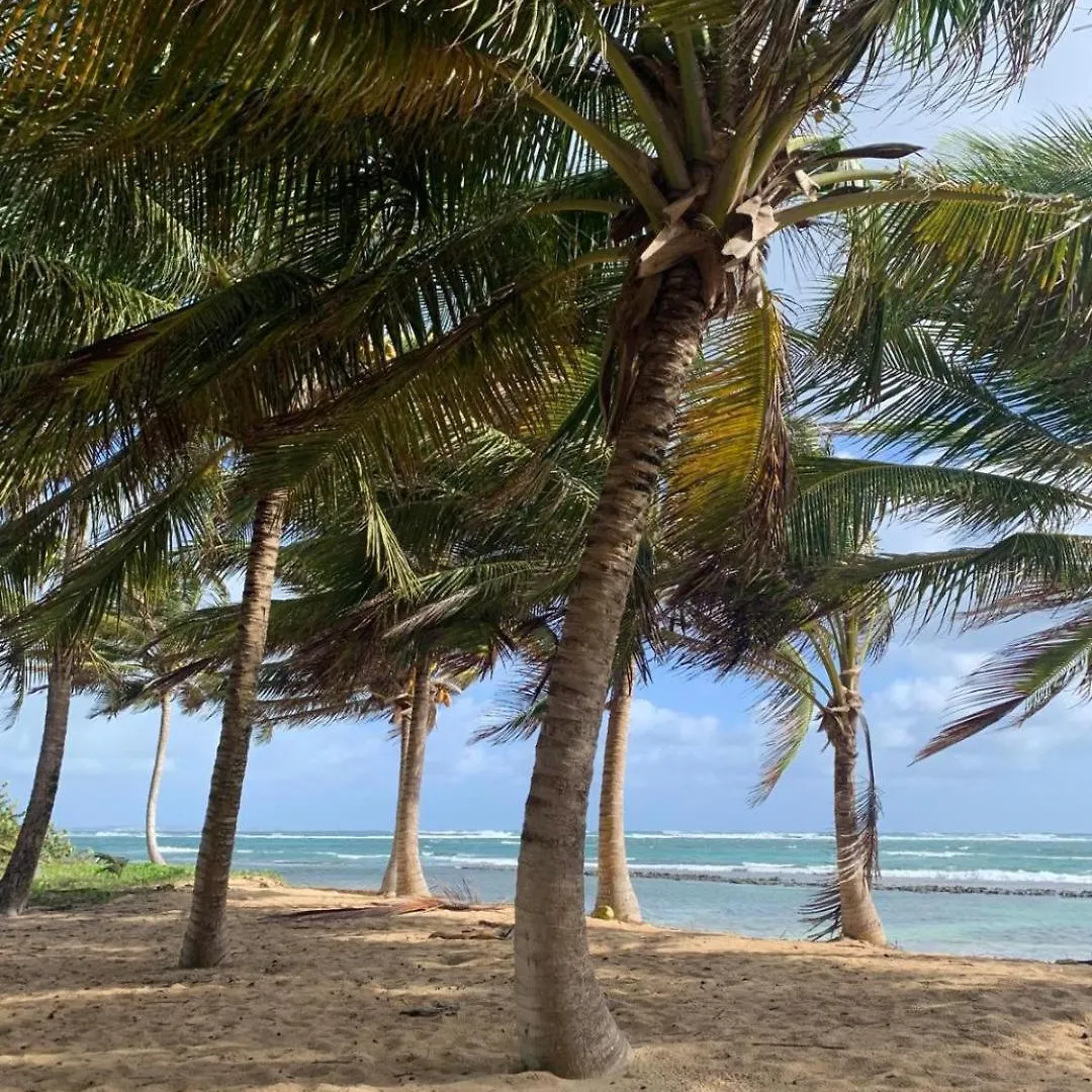 Villa Les Nereides Le Moule 0*,  Guadeloupe
